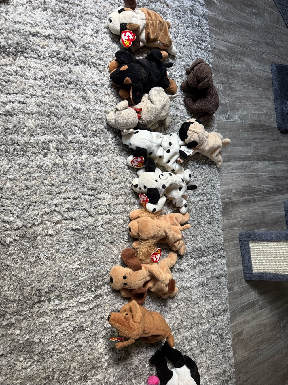 Ty Beanie Plush Dog Pack in Brown, Tan, Black, White